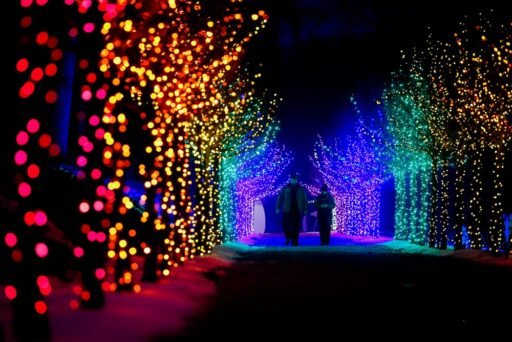Best Holiday Lights Drive-Thrus and Christmas Light Shows in Boston
