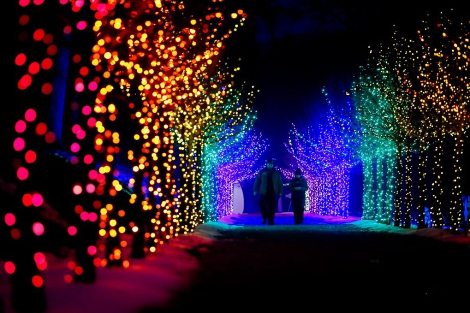 Best Holiday Lights Drive-Thrus and Christmas Light Shows in Boston