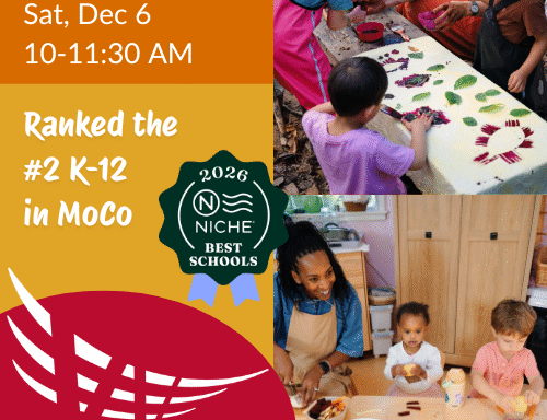 Preschool & Kindergarten Open House at Washington Waldorf School, Dec. 6!