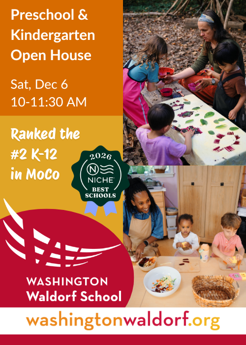 Preschool & Kindergarten Open House at Washington Waldorf School, Dec. 6!