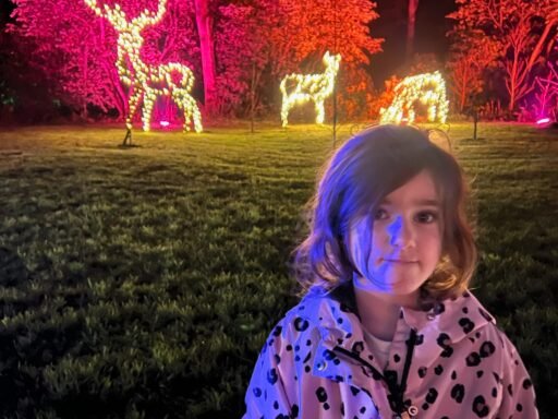 Visiting Glow At RHS Harlow Carr