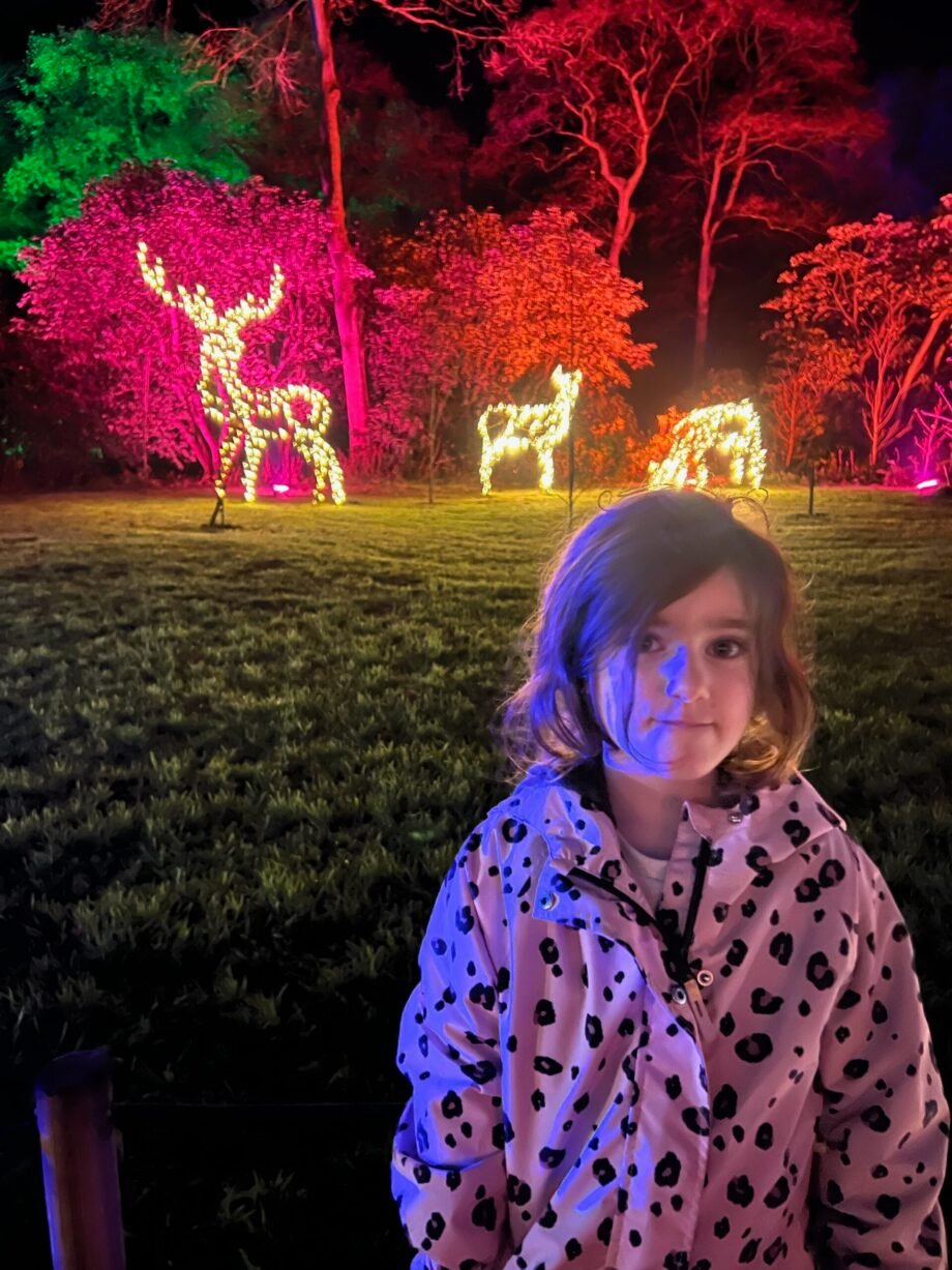 Visiting Glow At RHS Harlow Carr