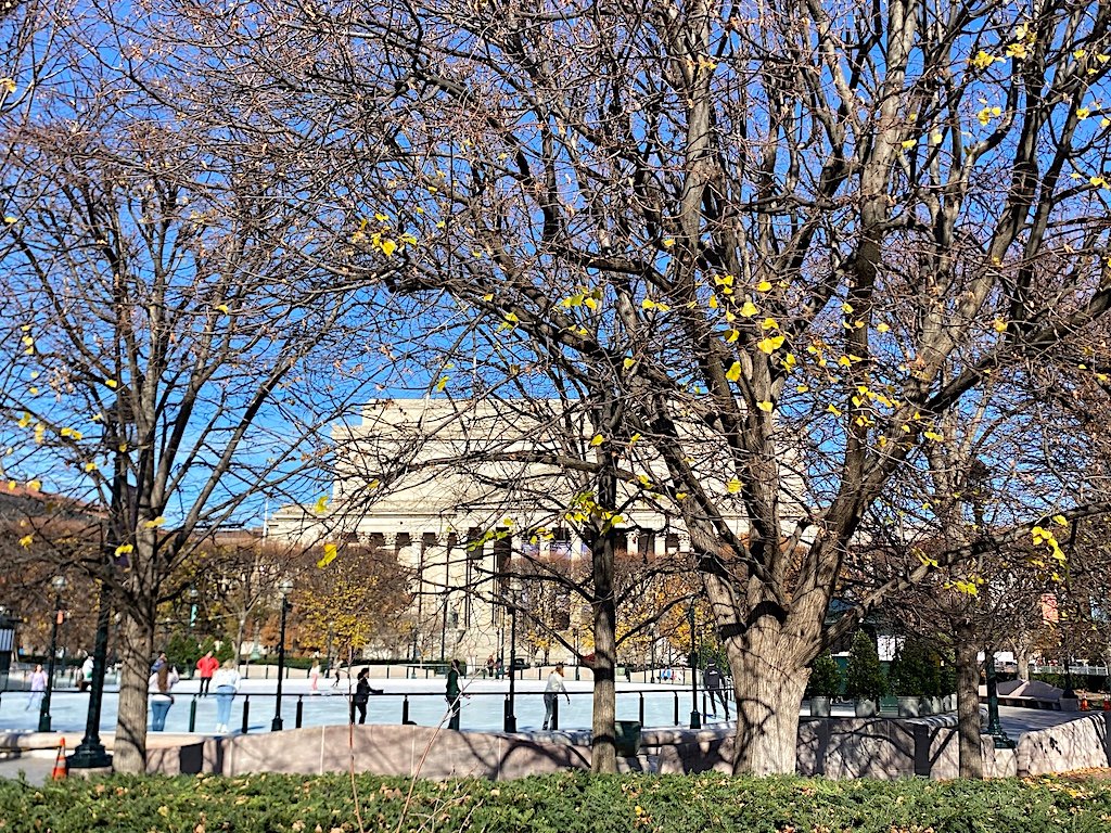 Where to Play on Thanksgiving Day