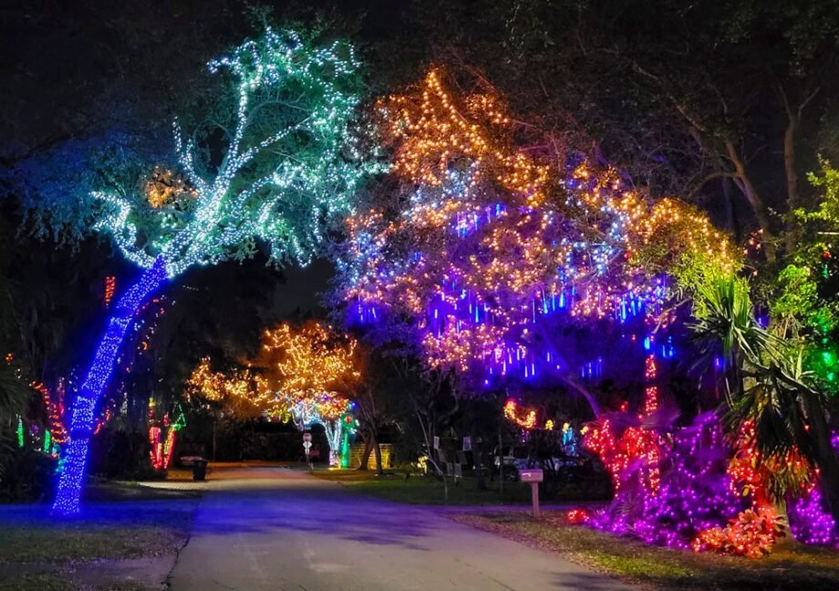 Best Holiday Lights, Drive-Thrus, and Christmas Light Shows in Miami & South Florida | Mommy Poppins