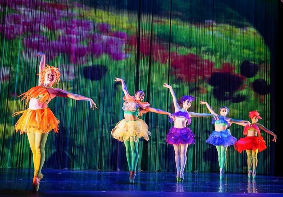 Boston’s Unusual & Underrated Christmas and Holiday Activities