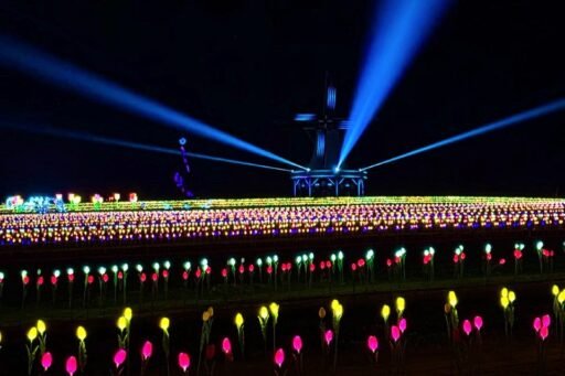 New Jersey's Unusual and Underrated Christmas and Holiday Activities | Mommy Poppins