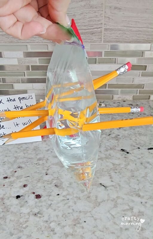 Pencil Water Bag Experiment - Crafty Morning
