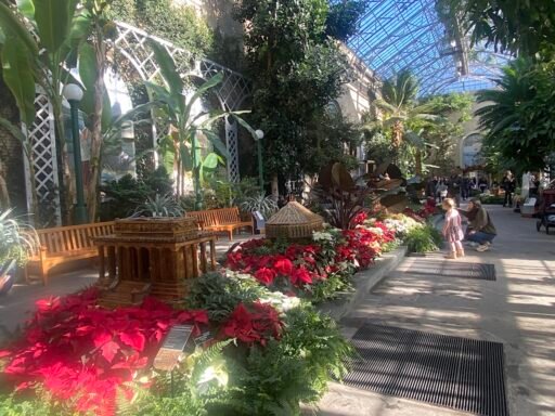 The Weekend Round-Up: December 5-7